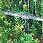 MAMU WALKWAY