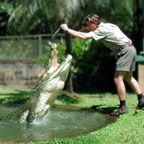 CAIRNS TROPICAL ZOO