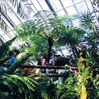 AUSTRALIAN BUTTERFLY SANCTUARY