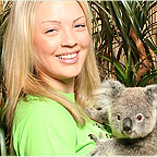 OPTION TO CUDDLE A KOALA