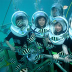 Sunlover Reef Cruises