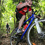Mulgrave Valley Mountain Biking