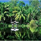 IDYLLIC NATURE RESORT