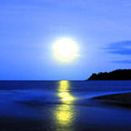 MOONLIT NIGHTS