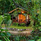 PANDANUS IN GARDENS