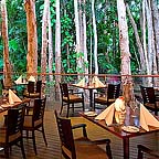 PAPERBARK RESTAURANT