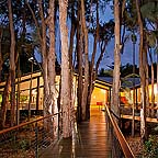 TROPICAL NIGHTS