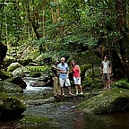 DREAMTIME WALK