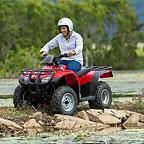 FUN / INTERESTING TRAILS