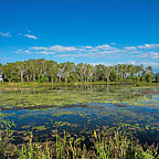 BEAUTIFUL WETLANDS