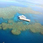 SUNLOVER MOORE REEF