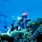 UNLIMITED SNORKELLING