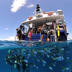 GREAT FOR SNORKELLER AND DIVERS