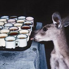 SHARE A CUPPA WITH THE WILDLIFE