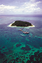 GREEN ISLAND