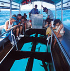 GLASS BOTTOM BOAT OPTION