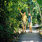 RAINFOREST BOARDWALKS