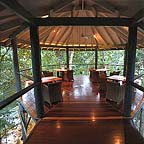 RAINFOREST LODGE