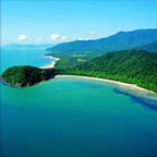 RAINFOREST MEETS THE REEF
