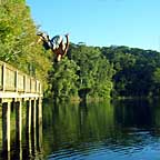 LOTS OF SWIMMING