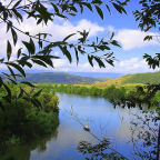 DAINTREE RIVER