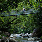 MOSSMAN GORGE