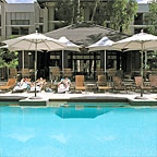 POOL COCKTAIL BAR