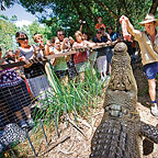 HARTLEY'S CROC SHOW