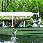 HARTLEYS CROC CRUISE