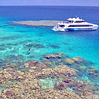 VISIT 3 REEF LOCATIONS