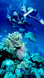 GREAT BARRIER REEF