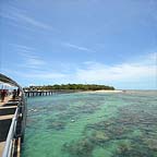 SNORKEL GREEN ISLAND