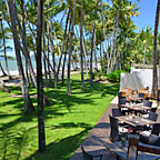 Alamanda Palm Cove