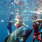 GUIDED SNORKELLING