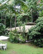 DEEP FOREST LODGE