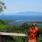 LOOKOUT OVER THE DAINTREE RIVER