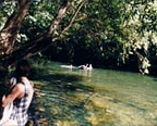 SWIM IN WOOBADDA RIVER