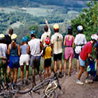 EXPLORE THE TROPICAL DAINTREE RAINFOREST