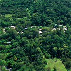 SURROUNDED BY LUSH RAINFOREST