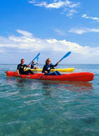 VISIT FRINGING CORAL REEF