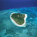 ARIAL VIEW OF GREEN ISLAND
