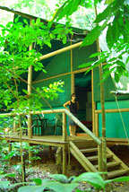 SAFARI TENTS