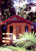 3 Night Ultimate Jungle Adventure
