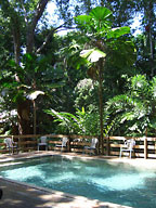 BEACHSIDE POOL