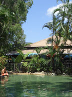 POOL & JUNGLE BAR