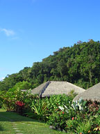 LUSH GARDEN ENVIRONMENT