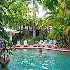 LARGE TROPICAL POOL