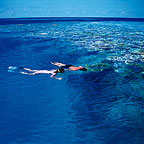 LUNCH & SNORKELLING EQUIPMENT INCLUDED
