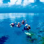 EASY ENTRY INTO THE WATER