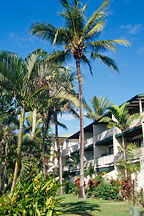 BEACHFRONT TERRACES